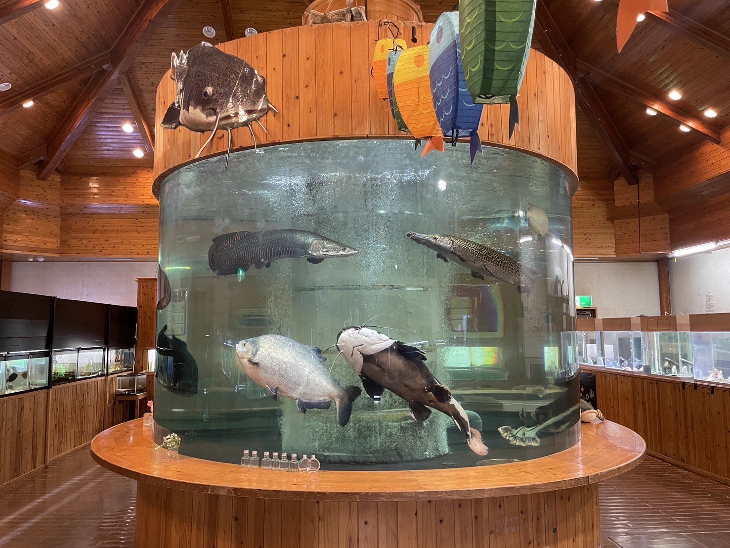 🏞️ 이데노야마 담수어 수족관 (이데노야마 단스이교스이조쿠칸) 이미지 1